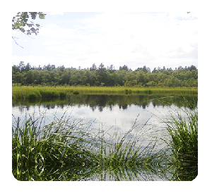 Pisciculture du Buisson