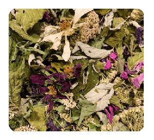 Le jardin d'Isabelle