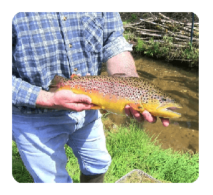 Pisciculture du Frais Baril