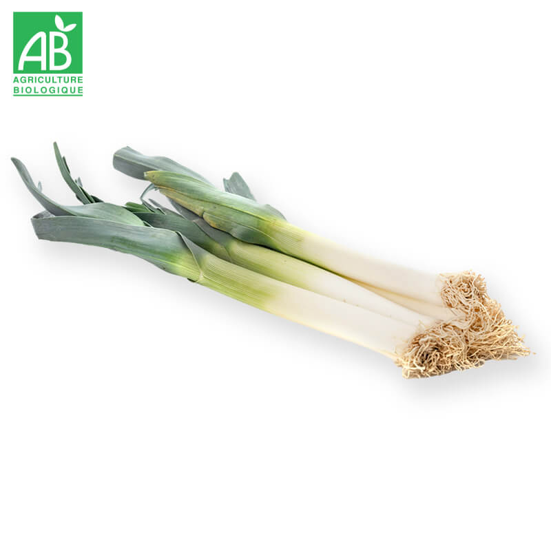 Poireaux Bio (gros calibre)