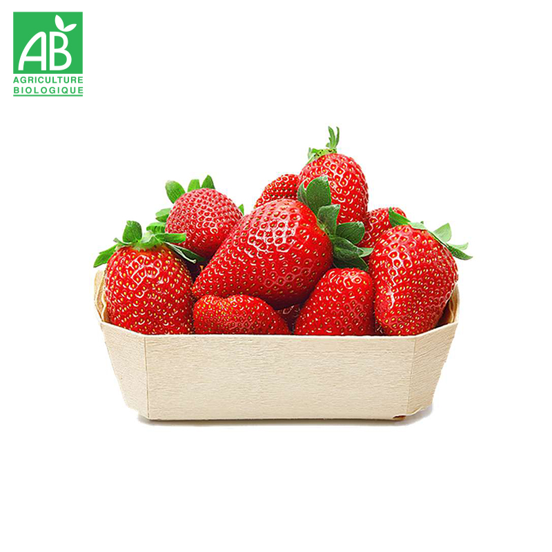 Fraises bio