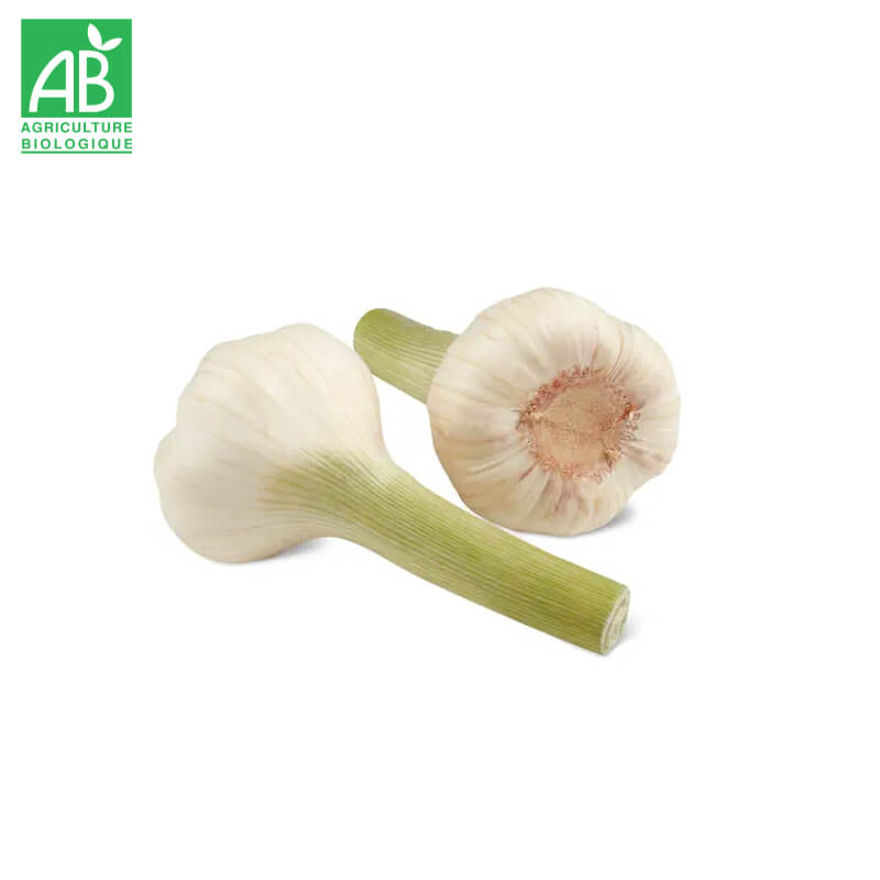 Ail Bio