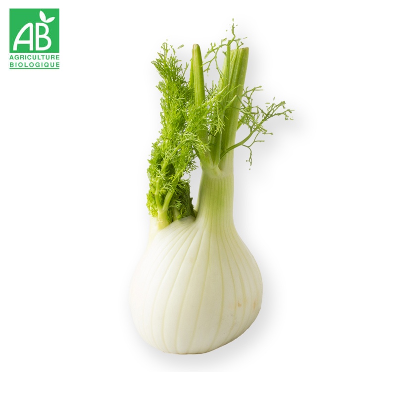 Fenouil Bio