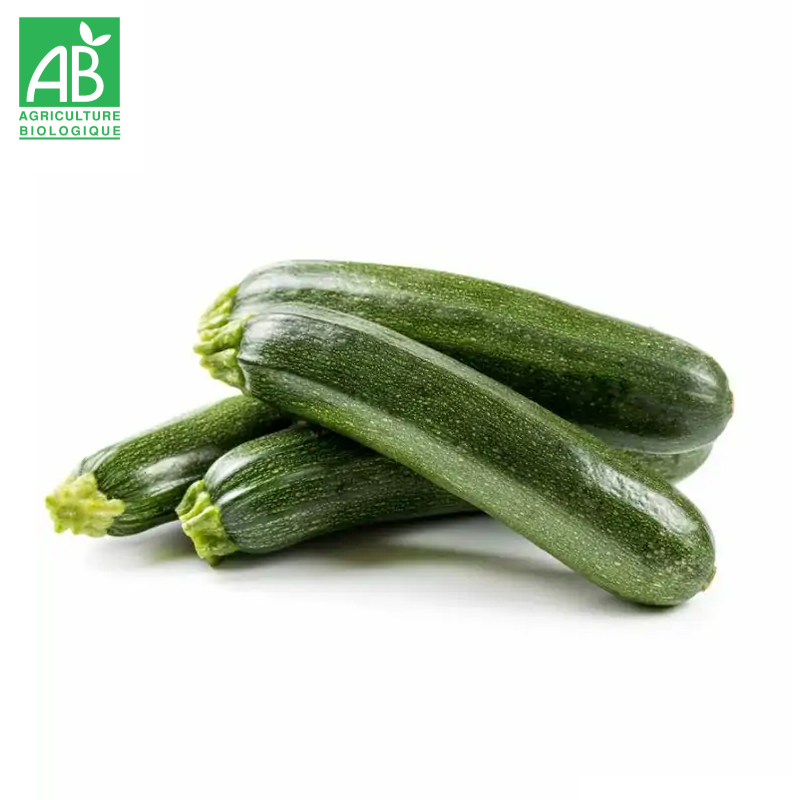 Courgettes vertes Bio