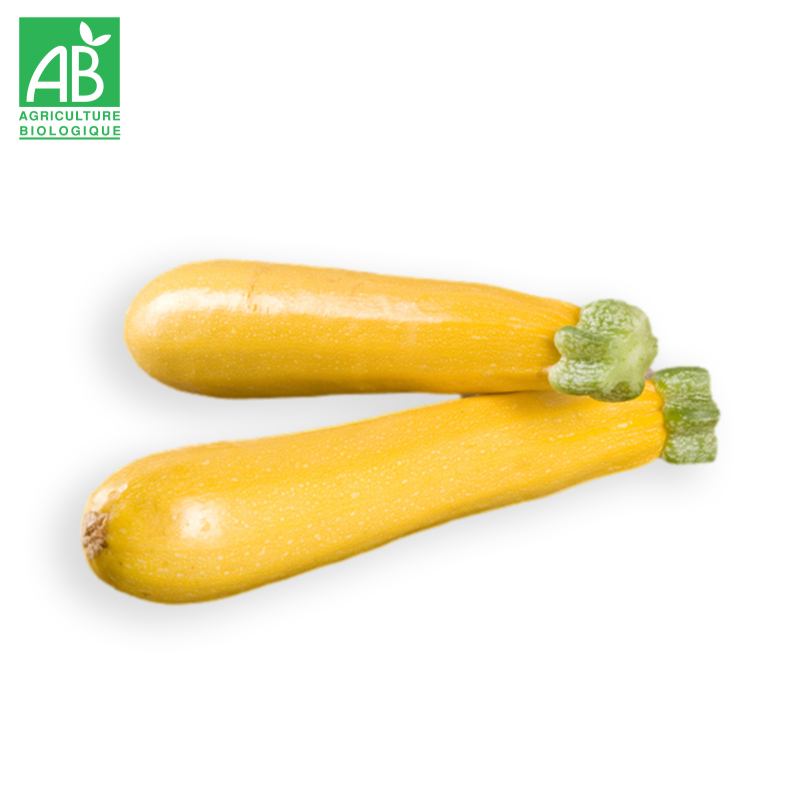 Courgettes jaunes Bio