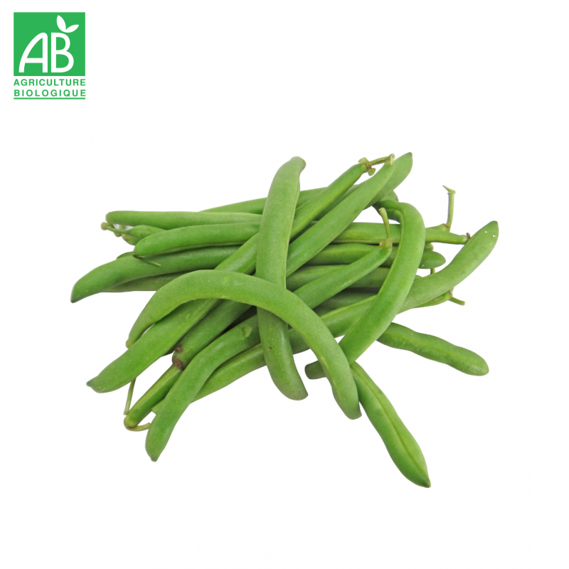 Haricots verts Bio