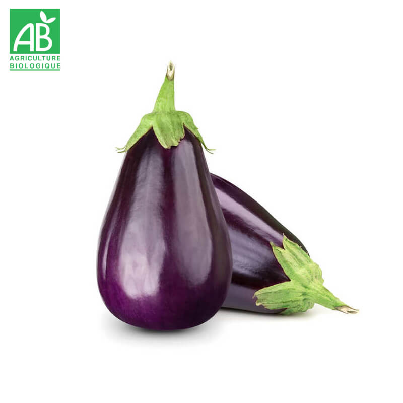 Aubergines Bio