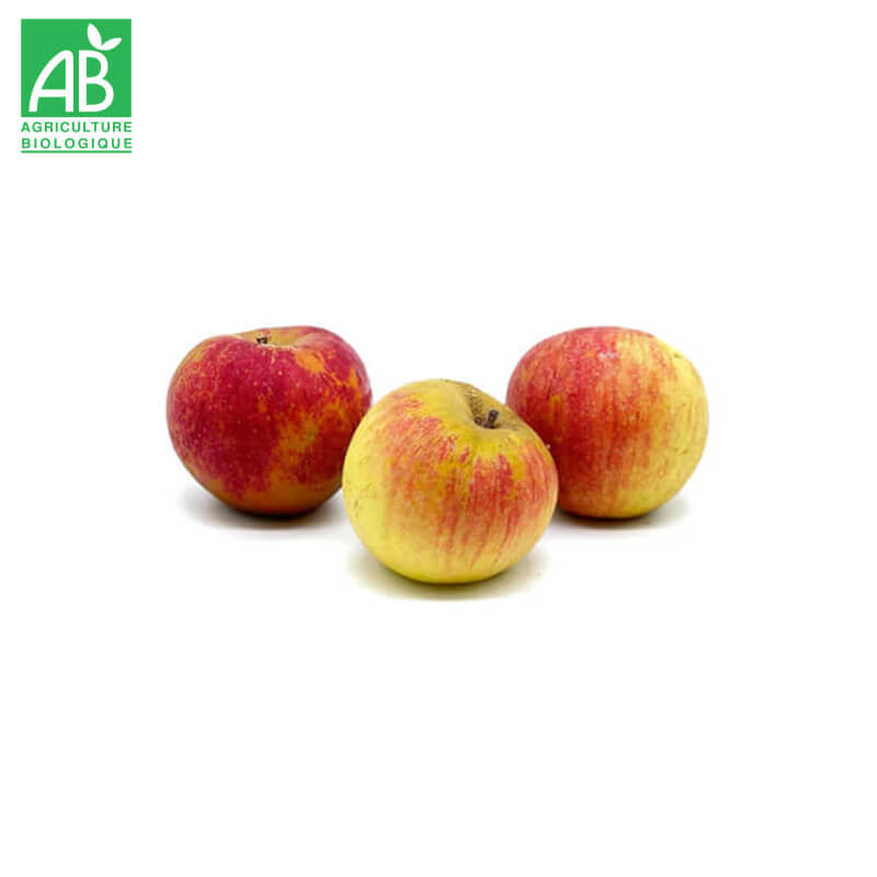 Pomme Early Crunch Bio