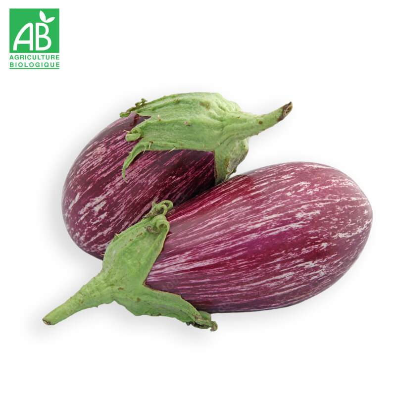 Aubergines Zébrées Bio