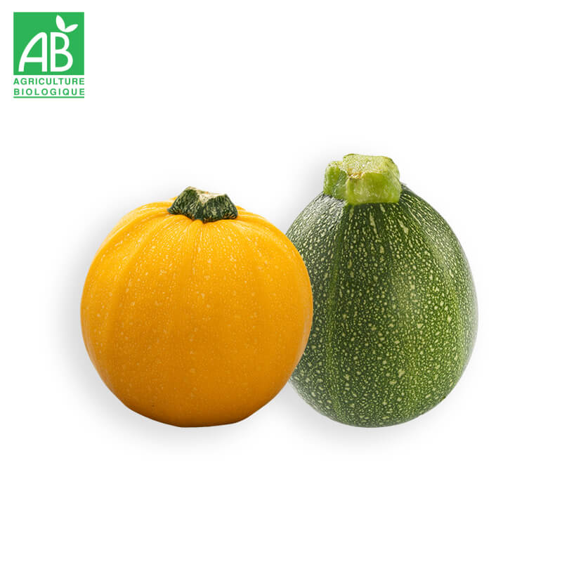 Courgettes rondes Bio