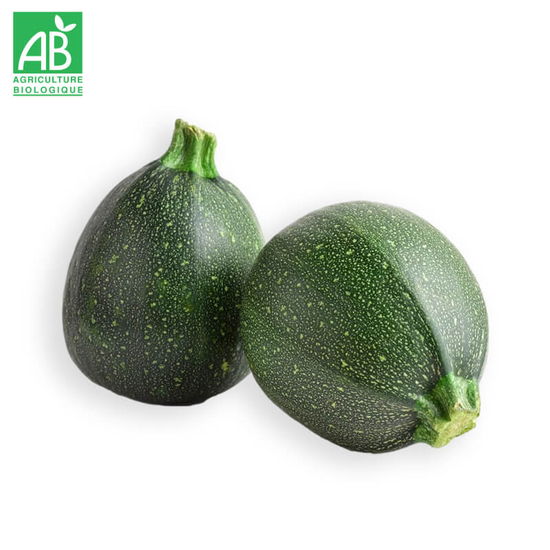 Courgettes rondes Bio