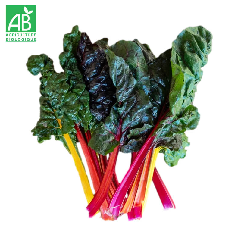 Bettes Colorées Bio en botte
