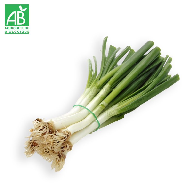 Poireaux Bio en botte