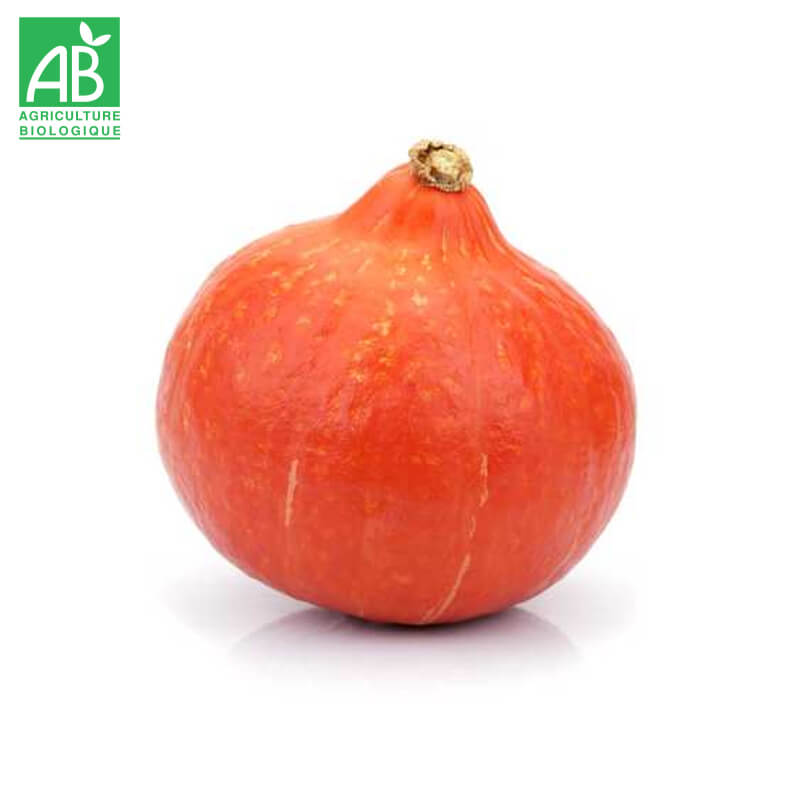 Courge Potimarron Bio