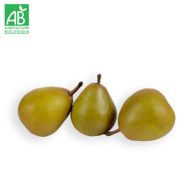 Poire Président Héron Bio