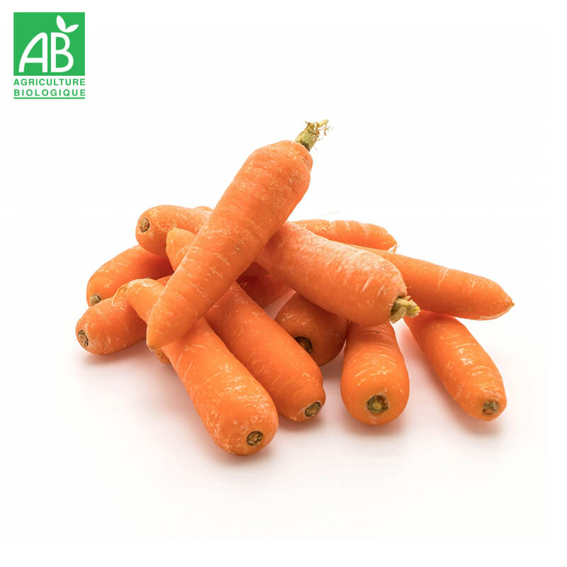 Carottes nouvelles Bio