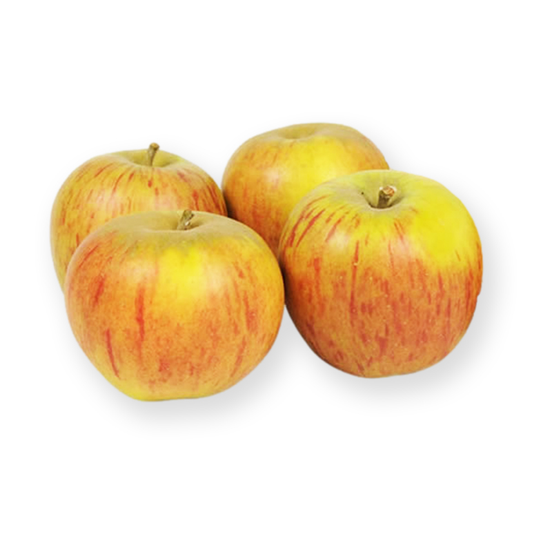 Pomme Reine de Reinettes