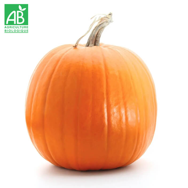 Courge "Jack'O Lantern" Bio à la pièce (gros calibre)