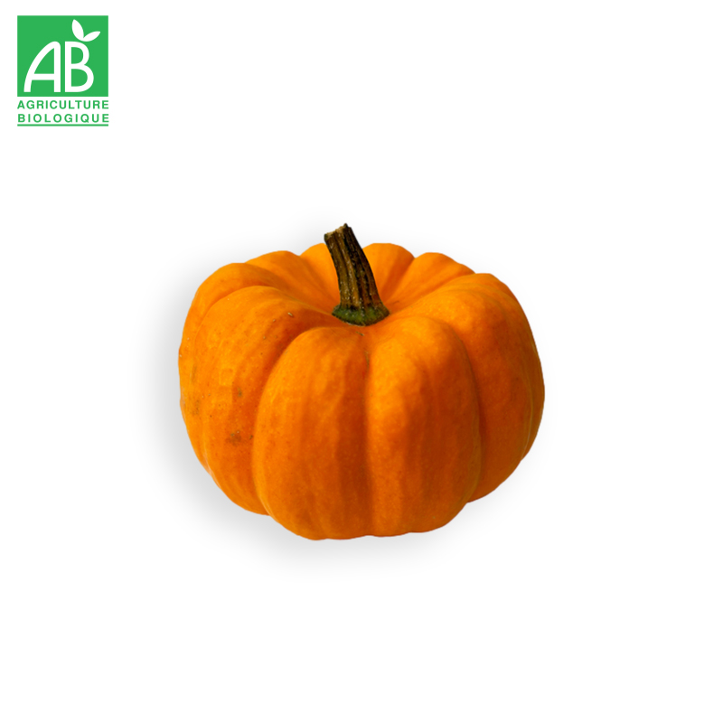 Courge "Jack'O Lantern" Bio au poids