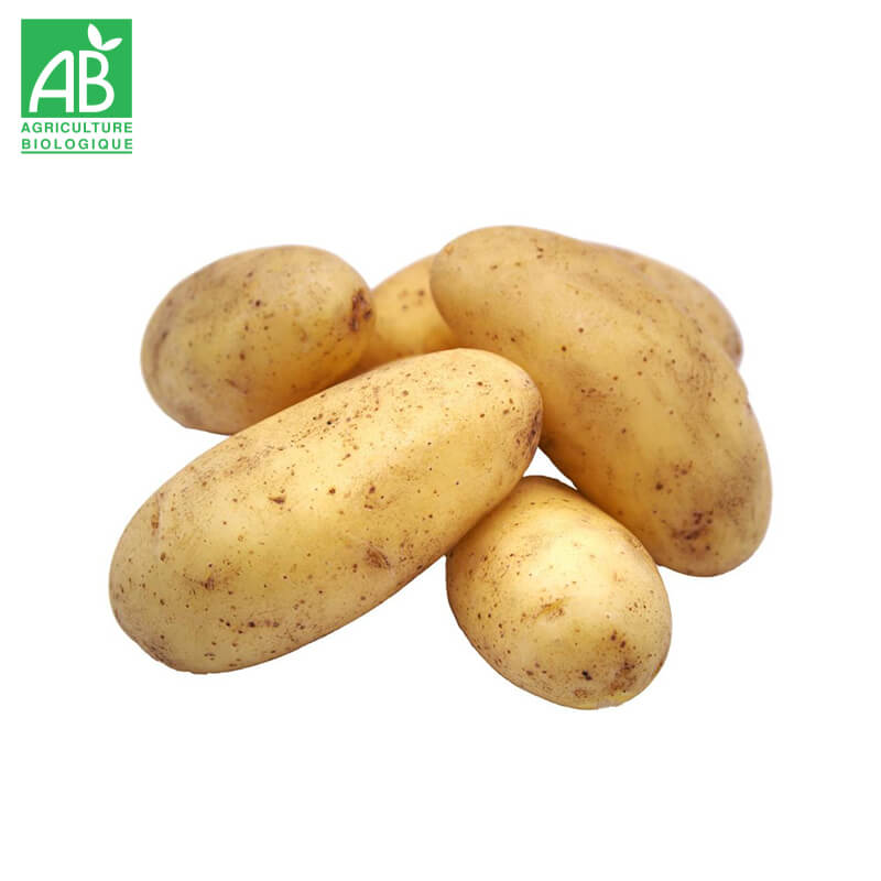 Pommes de Terre Agria Bio
