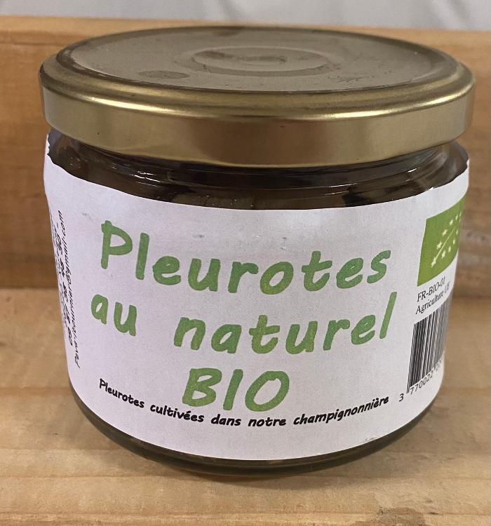 Pleurotes BIO en bocaux