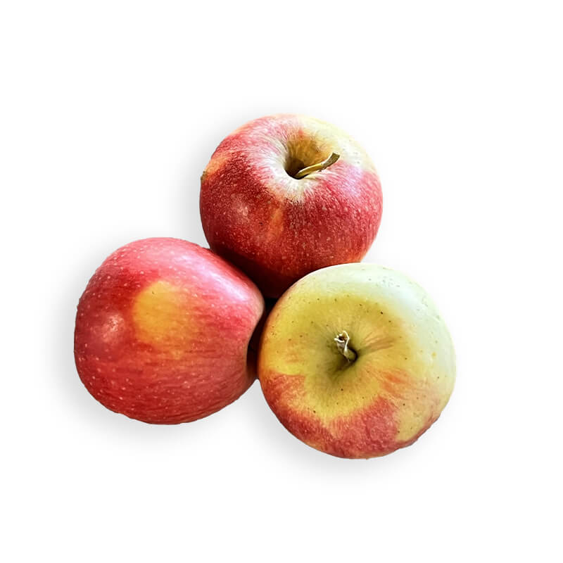 Pomme Pinova