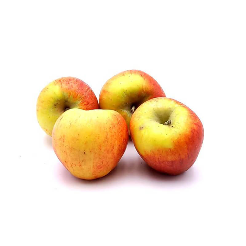 Pomme Pilot