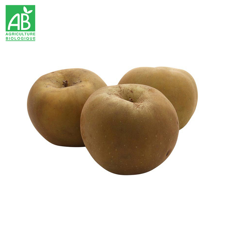 Pomme Reinette Grise du Canada Bio