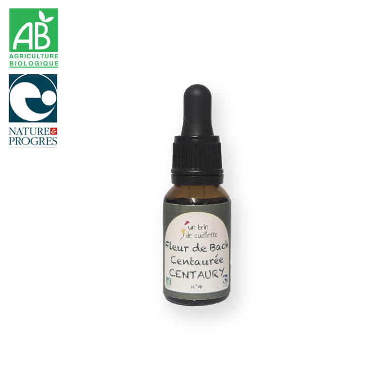 Fleur de bach : Centaurée