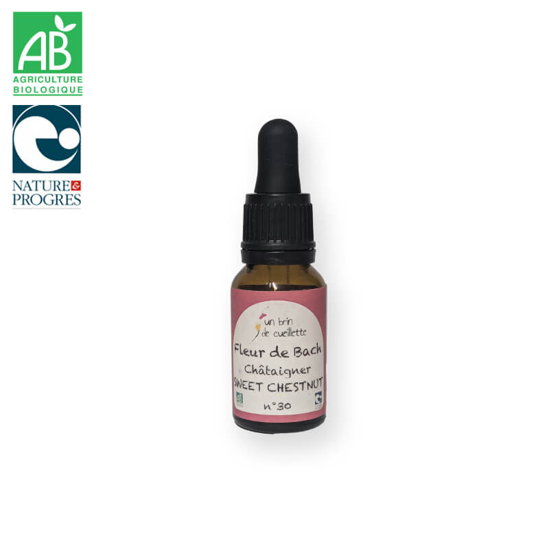 Fleur de bach : Châtaigner