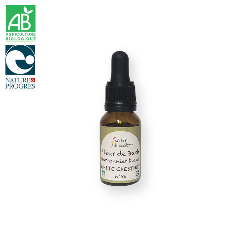 Fleur de bach : Marronnier blanc