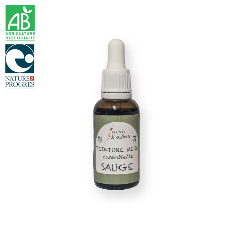 Teinture mère essentielle : Sauge
