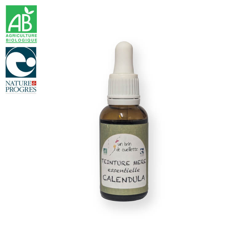 Teinture mère essentielle : Calendula