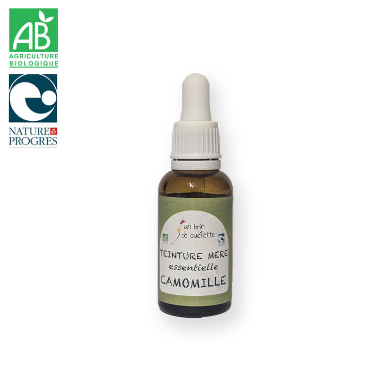 Teinture mère essentielle : Camomille