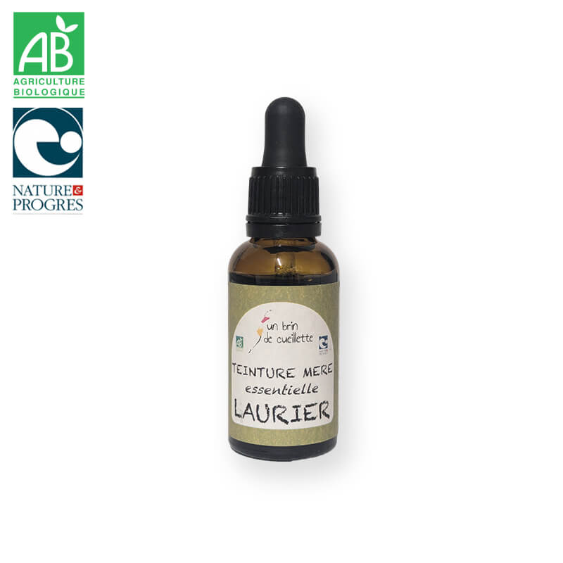 Teinture mère essentielle : Laurier