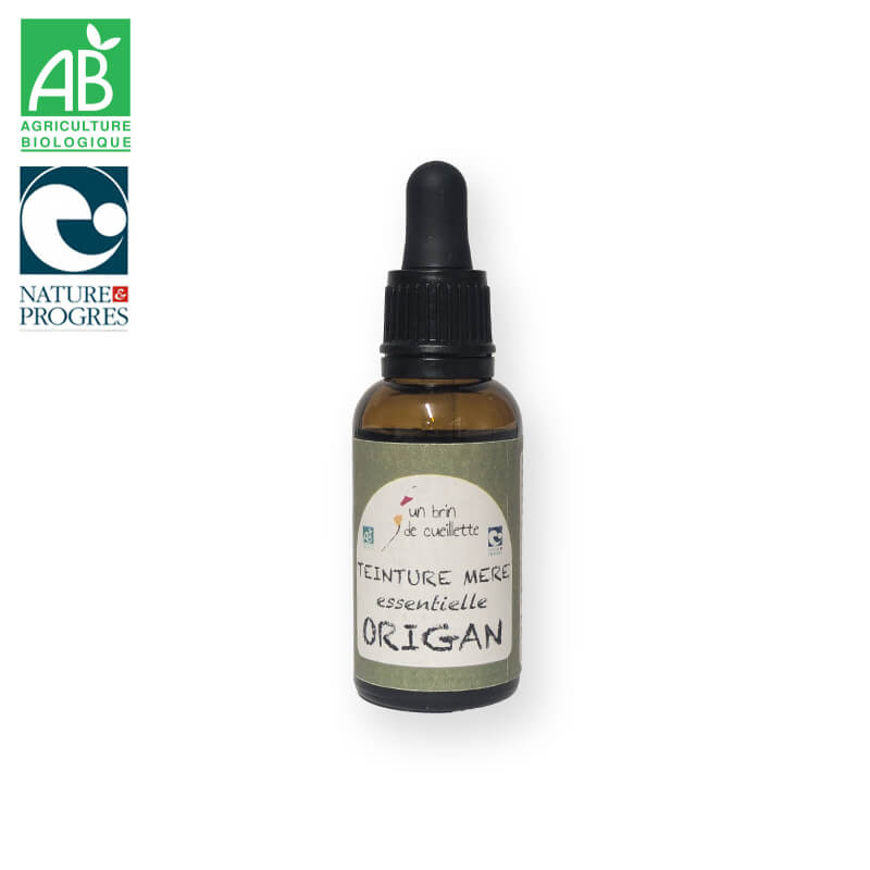 Teinture mère essentielle : Ortie