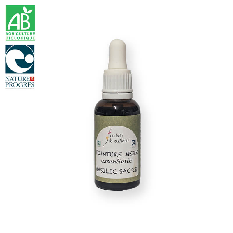 Teinture mère essentielle : Basilic sacré