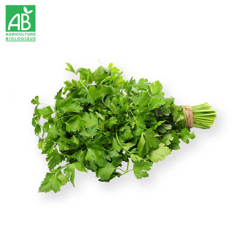 Persil Plat Bio en botte