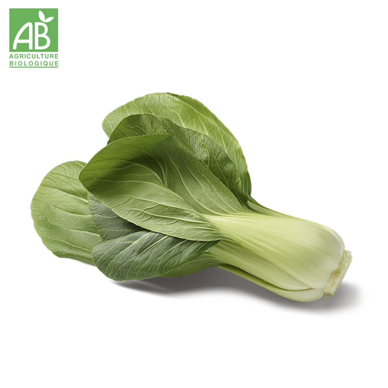 Chou Pak Choï Bio