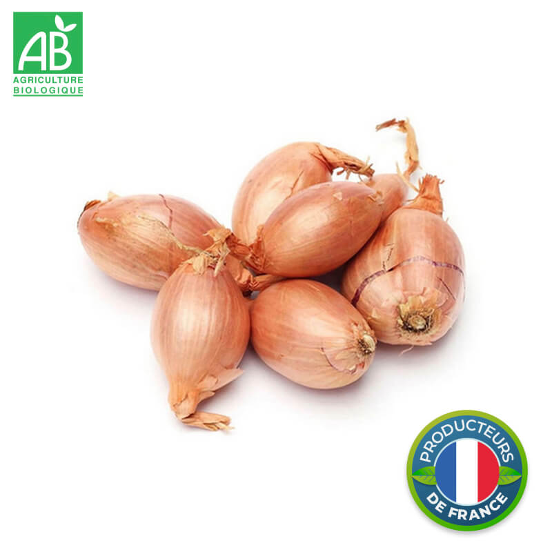 Échalotes Bio
