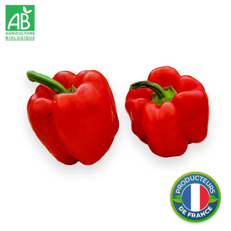 Poivron rouge Bio en vrac