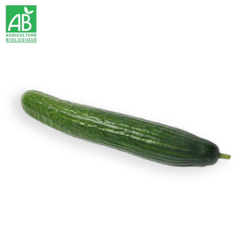 Concombres long Bio