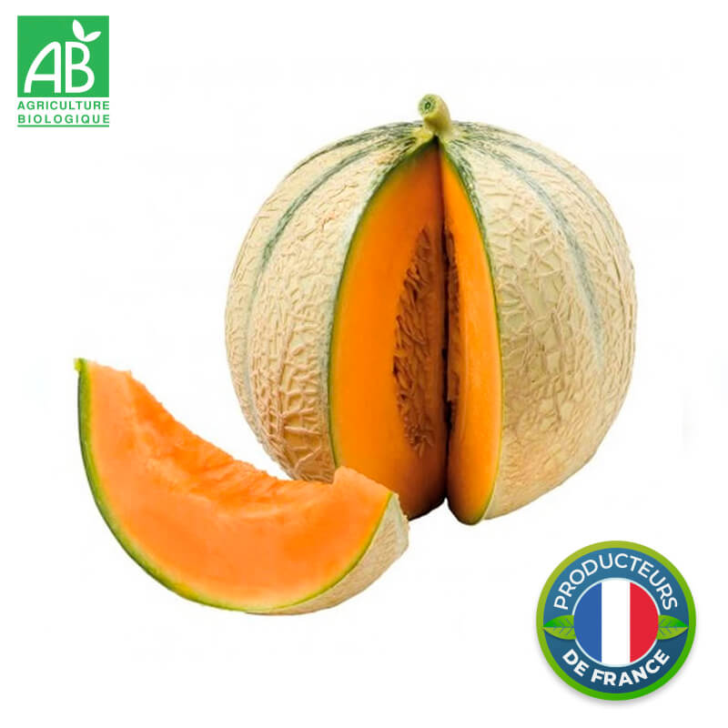 Melon Charentais Bio (gros calibre)