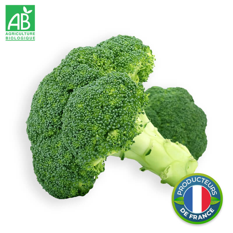 Chou Brocoli Bio