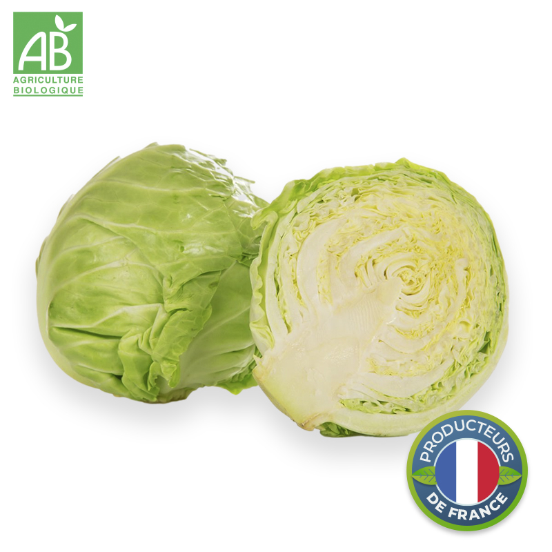 Chou Blanc cabus Bio