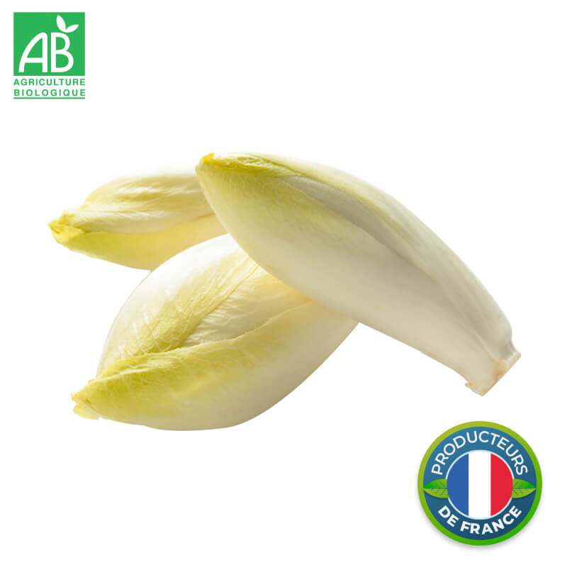 Endives Bio