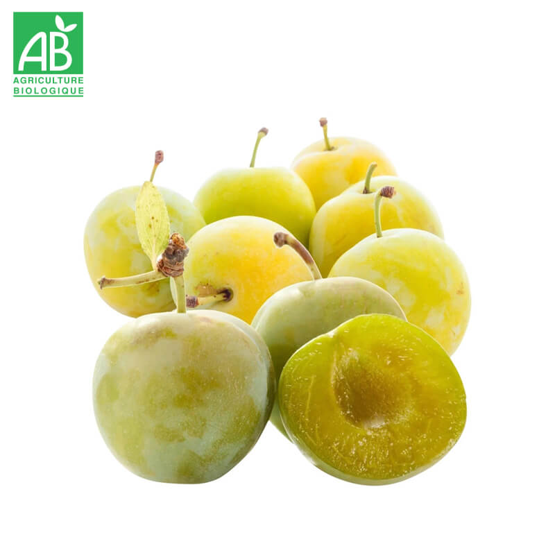 Prunes Reine Claude Bio