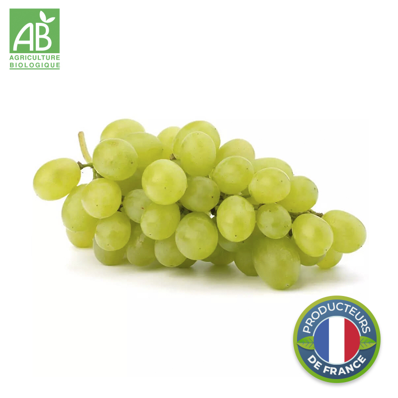 Raisin Blanc Chasselas Bio