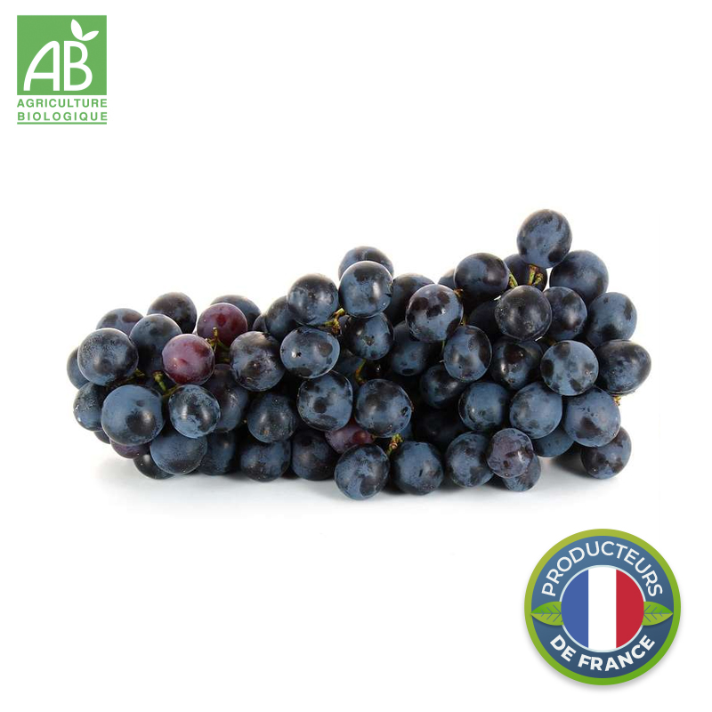 Raisin Noir Muscat Bio