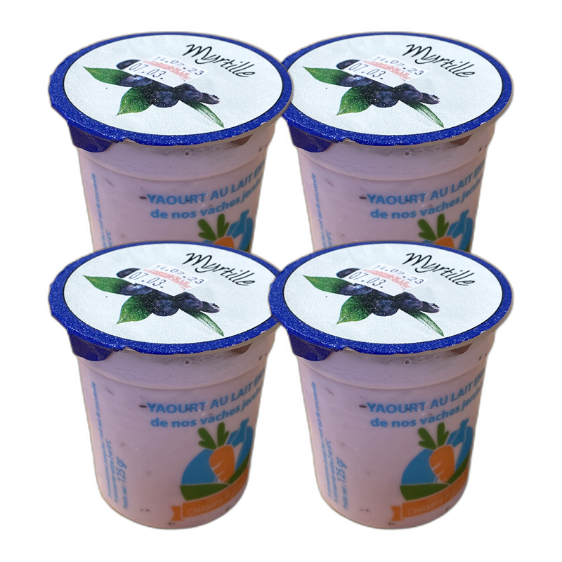 Yaourt brassé Myrtille